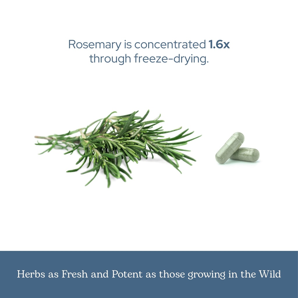 eclectic-herb-rosemary-capsules-cognitiv-6.jpg