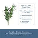 eclectic-herb-rosemary-capsules-cognitiv-5.jpg