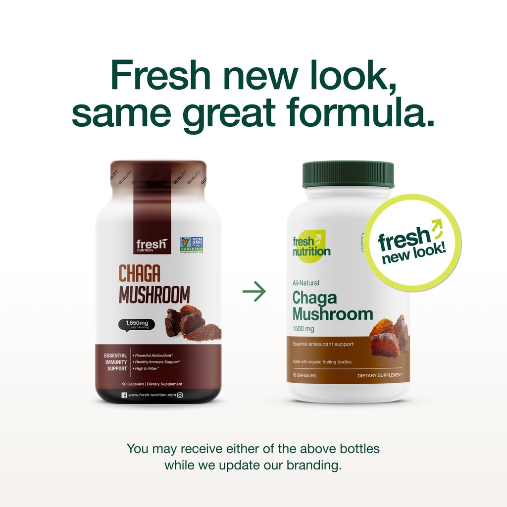 organic-chaga-mushrooms-strongest-dna-ve-2.jpg