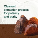 organic-chaga-mushrooms-strongest-dna-ve-6.jpg