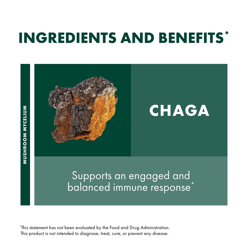 host-defense-chaga-extract-immune-system-6.jpg
