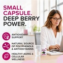 organic-aronia-berry-capsules-black-chok-2.jpg