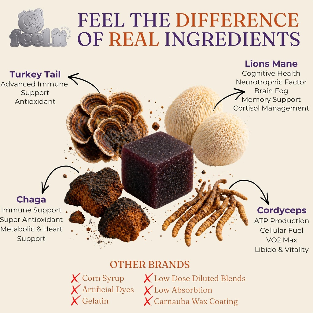 premium-mushroom-blend-high-potency-lion-4.jpg