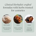 apothekary-mind-over-matter-cognitive-su-4.jpg