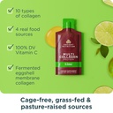 ancient-nutrition-hydrolyzed-multi-colla-3.jpg