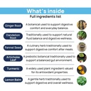 digestion-patch-gut-support-bloat-relief-4.jpg