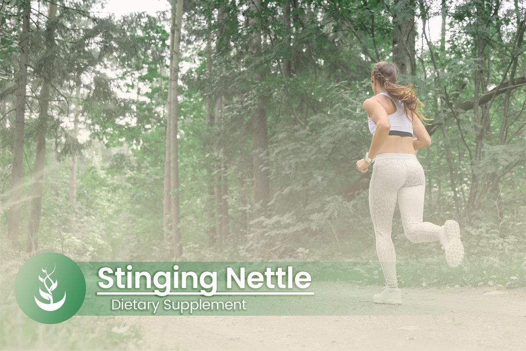 pure-original-ingredients-stinging-nettl-5.jpg