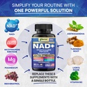 she-shines-nad-bundle-collagen-peptides--5.jpg