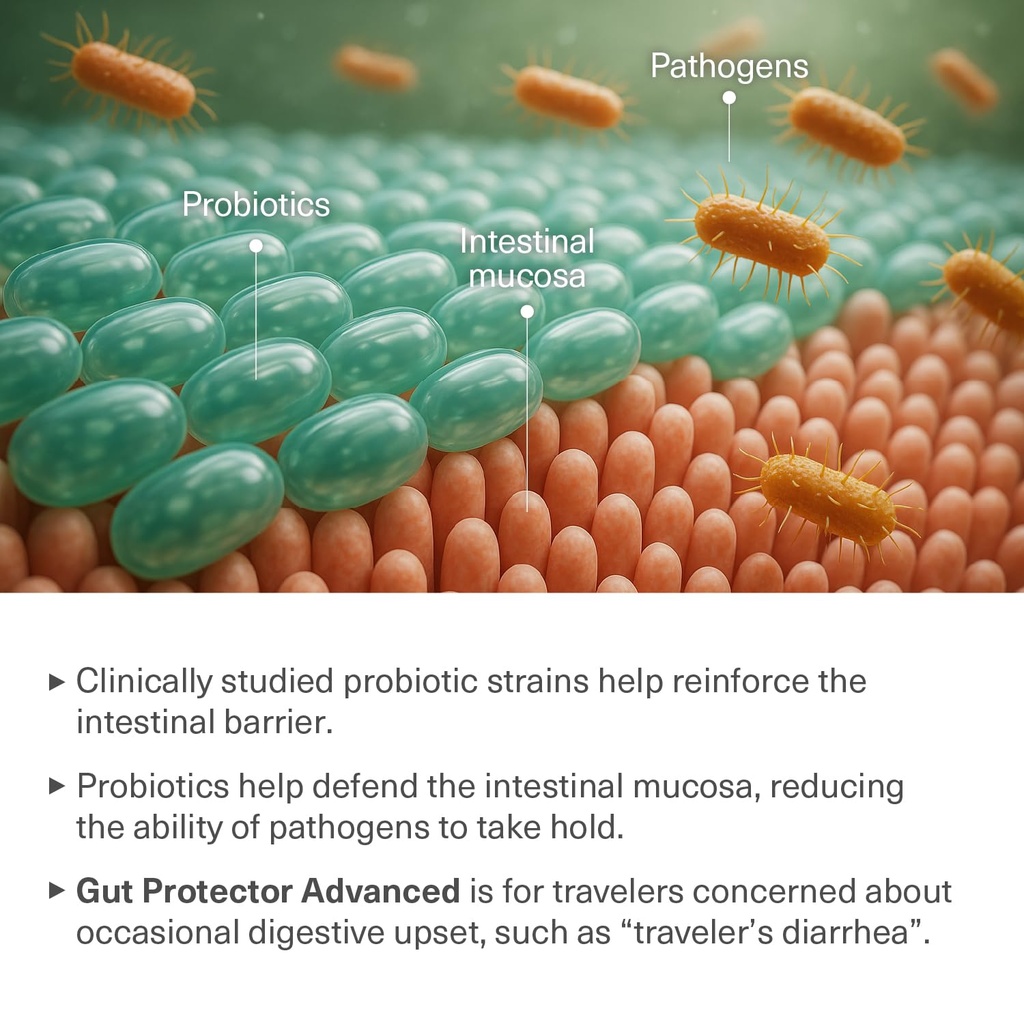 travel-probiotics-for-digestive-health-i-5.jpg