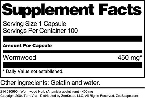 wormwood-herb-artemisia-absinthium-450-m-6.jpg