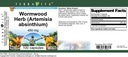 wormwood-herb-artemisia-absinthium-450-m-5.jpg