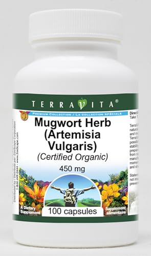 mugwort-herb-artemisia-vulgaris-certifie-2.jpg
