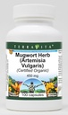 mugwort-herb-artemisia-vulgaris-certifie-2.jpg