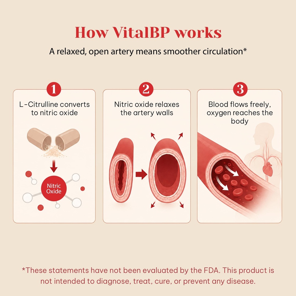 vitalbp-blood-pressure-blood-flow-artery-5.jpg