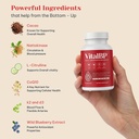 vitalbp-blood-pressure-blood-flow-artery-4.jpg