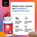 vital-beat-cardiovascular-support-supple-4.jpg