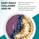 reignite-wellness-by-jj-virgin-collagen--6.jpg