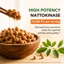 nattokinase-10-000-fu-per-serving-with-c-6.jpg