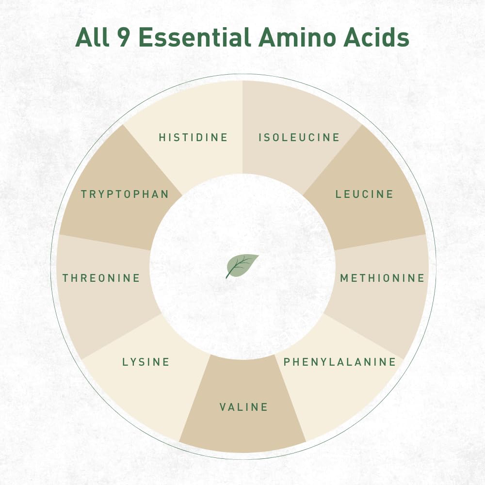 organic-hemp-protein-powder-chocolate-40-5.jpg