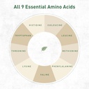 organic-hemp-protein-powder-chocolate-40-5.jpg