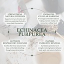 organic-echinacea-purpurea-4-oz-113g-usd-3.jpg