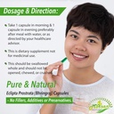 bhringraj-eclipta-prostrata-capsules-for-4.jpg