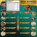 chaga-mushroom-extract-capsules-lions-ma-3.jpg