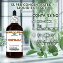 triphala-glycerite-all-natural-vegan-lab-6.jpg