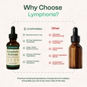 lymphatic-drainage-drops-for-bloat-relie-5.jpg
