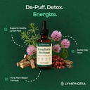 lymphatic-drainage-drops-for-bloat-relie-2.jpg