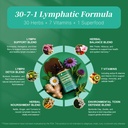 liposomal-lymphatic-drainage-supplements-3.jpg