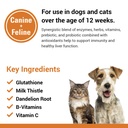 liver-support-pet-health-supplement-for--6.jpg