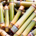 pure-original-ingredients-bamboo-extract-3.jpg
