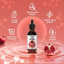 liposomal-nad-liquid-drops-with-coq10-pq-4.jpg