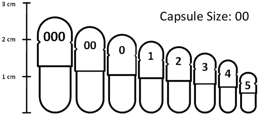 bowel-toner-120-caps-4.jpg