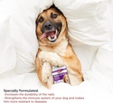 bio-pet-active-biodermdog-05-zinc-and-bi-5.jpg