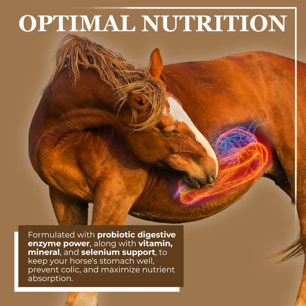 equerry-s-economy-equine-supplement-hors-2.jpg