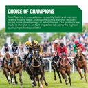 ramard-total-topline-powder-horse-supple-6.jpg