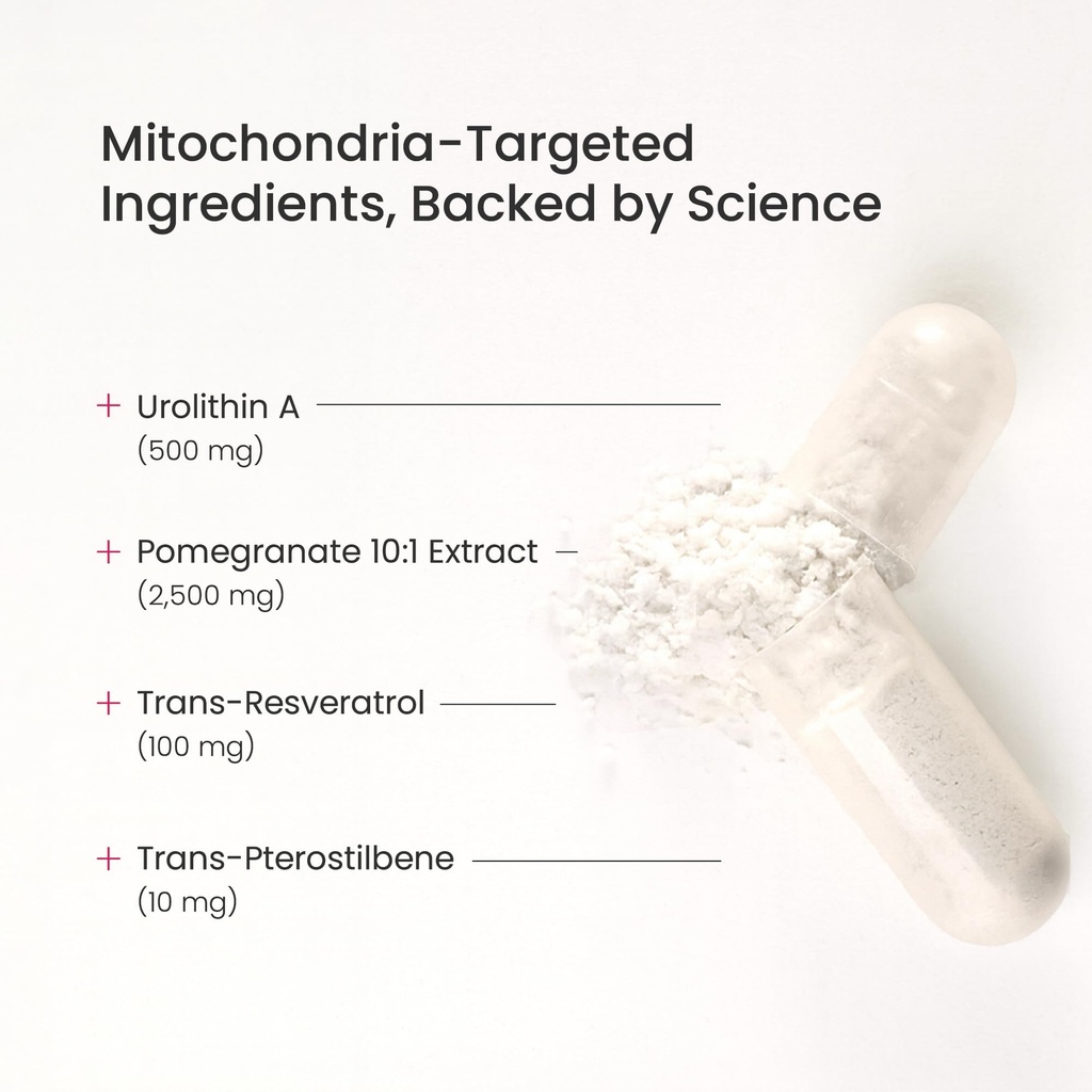 urolithin-a-advanced-mitochondrial-suppl-71tySx1nuTL.jpg