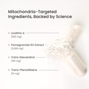 urolithin-a-advanced-mitochondrial-suppl-71tySx1nuTL.jpg