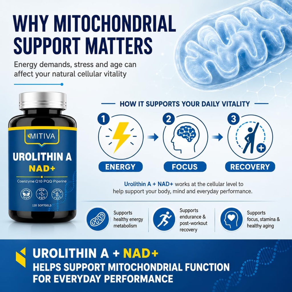 urolithin-a-1000mg-supplement-with-nad-c-71i2Xywc8OL.jpg