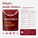 urolithin-a-1772mg-supplement-9-in-1-for-71tuWxwdGLL.jpg