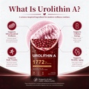 urolithin-a-1772mg-supplement-9-in-1-for-71m7MTbdDgL.jpg