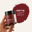 urolithin-a-supplement-1000mg-mitochondr-614hrt2MVWL.jpg