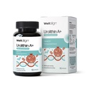 urolithin-a-supplement-1000-mg-per-servi-710ReIvAyNL.jpg