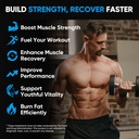 venture-pal-100-pure-micronized-creatine-81WKLoGNUeL.jpg
