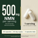 nature-s-purest-nmn-supplement-500mg-hig-71Dh9Ls5auL.jpg