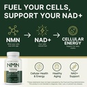 nature-s-purest-nmn-supplement-500mg-hig-711OAZSuyoL.jpg