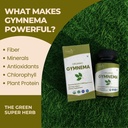 organic-spree-gymnema-120-tablets-gymnem-8160VolL1WL.jpg