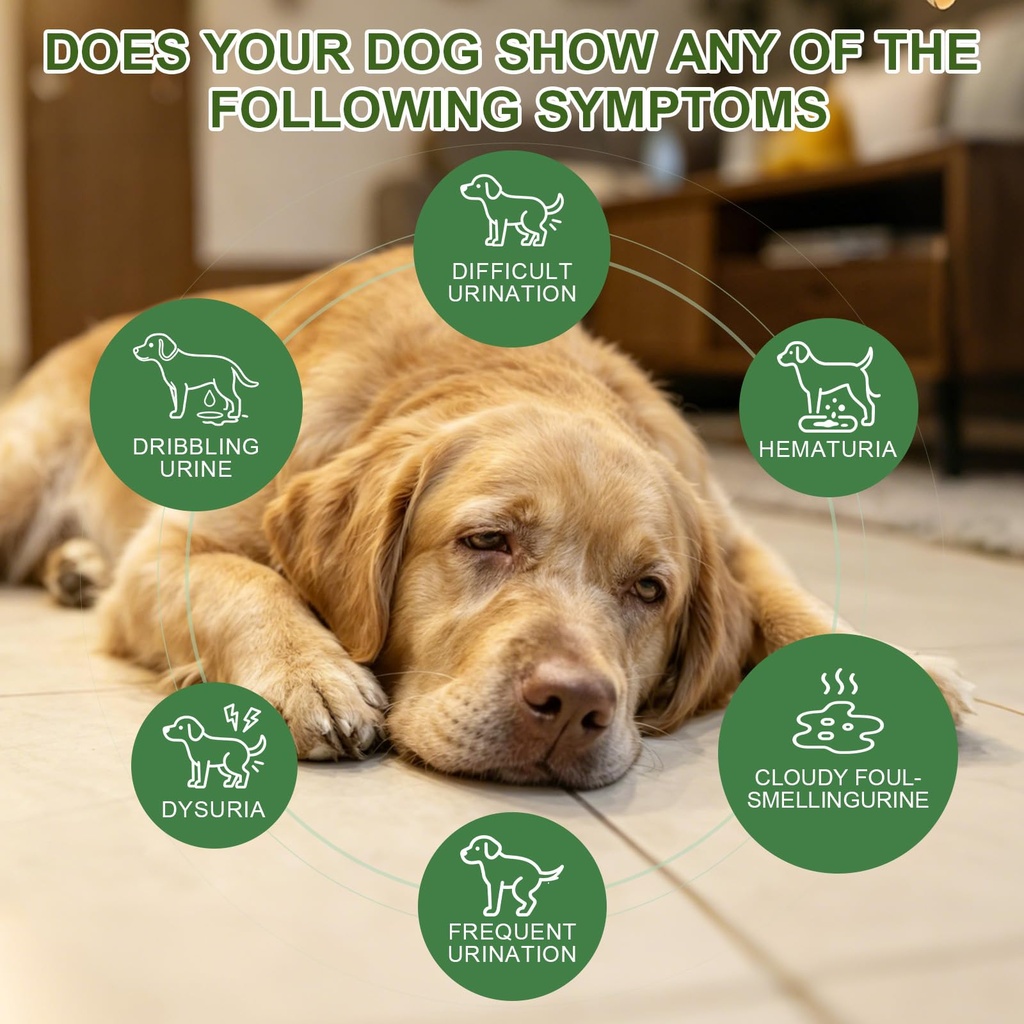 petnanny-urinary-support-drops-for-dogs--71n1Q58ZWlL.jpg